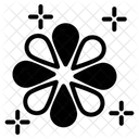 Fireworks  Icon