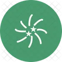 Fireworks  Icon