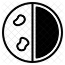 First Quarter Moon Icon