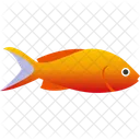 Fisch  Symbol