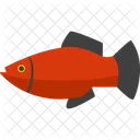 Fisch  Symbol