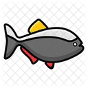 Fisch Meeresfruchte Fischmehl Icon