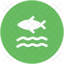 Fisch Im Fluss Icon