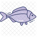 Fisch  Symbol