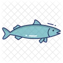 Fisch Meerestiere Meeresfruchte Icon