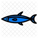 Fisch Zoologie Wild Icon