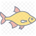 Fisch  Symbol