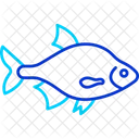 Fisch  Symbol