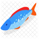 Fisch  Icon