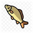 Fisch  Symbol