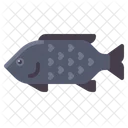 Fisch  Symbol