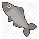 Fisch Goldfisch Silberfisch Icon