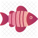 Fisch  Symbol