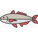 Fisch  Icon