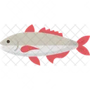 Fisch  Symbol