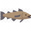 Fisch  Symbol