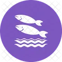 Fisch  Symbol