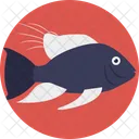 Susswasser Fisch Haustier Symbol