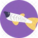 Susswasser Fisch Haustier Symbol