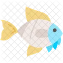 Fisch  Symbol