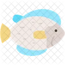 Fisch  Symbol