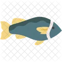 Fisch  Symbol