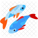 Fische  Symbol