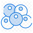 Fischeier  Icon