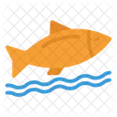 Fish Icon