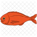 Fish Animal Nature Icon