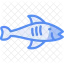 Fish Underwater Creature Marine Life Icon
