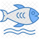 Fish  Icon