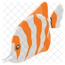 Fish Sea Creature Sea Animal Icon