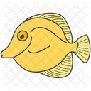 Sea Creature Fish Aquatic Animal Icon