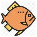 Fish Protein Ketogenic Icon