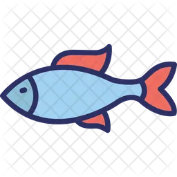 Fish  Icon