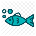 Fish Underwater Fish Animal Icon