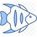 Fish  Icon