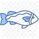 Fish  Icon