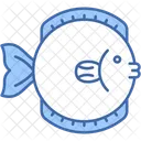 Fish  Icon