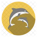 Fish Dolphin Sea Icon