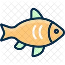 Fish Fishing Salmon Icon
