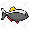 Fish Seafood Fish Meal Icon