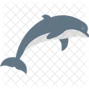 Fish Sea Shark Icon