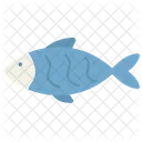 Domestic Animal Fish Icon