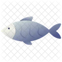 Domestic Animal Fish Icon