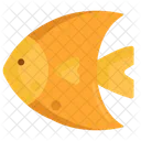 Fish Sea Mammal Icon