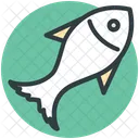 Fish Animal Seafood Icon