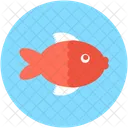 Fish Food Seafood Icon