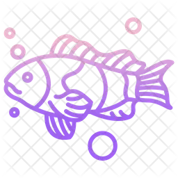 Fish  Icon